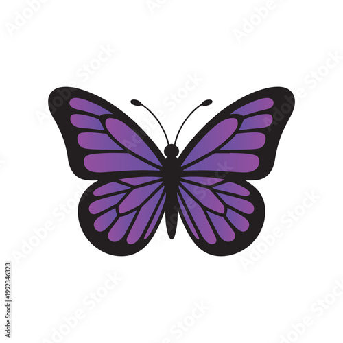 Colorful Butterfly Vector Gradient Editable Insect Elegant Modern Illustration