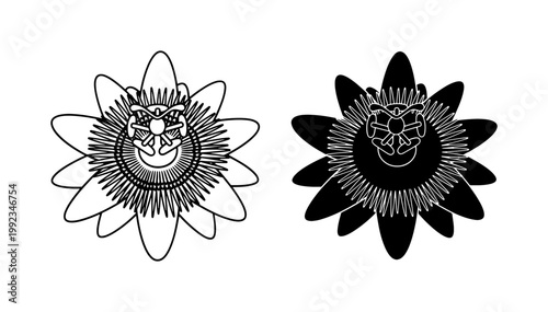 Foto Passiflora Flower Vector Icons, Black and White Botanical Illustrations, Detaile
