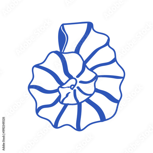 Blue line illustration of a Harp Shell. Cute doodle summer seashell icon.