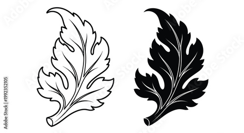 Two detailed leaf illustrations one light one dark against white