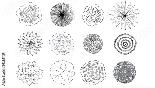 Collection of top view tree illustrations in a clean graphic style for architectural design