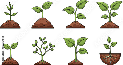 Green Seedling and Plant Growth Stages Vector Illustration Set Showing Sprout Leaf Soil and Root Development for Nature Garden and Ecology Concept Design