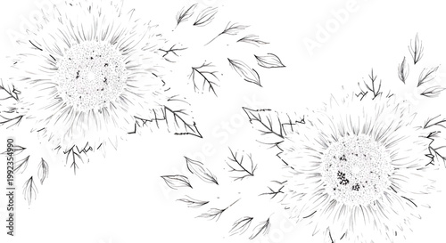 Sunflowers in a hand-drawn sketch style feature two large blossoms surrounded by delicate leaves on a clean white background.
