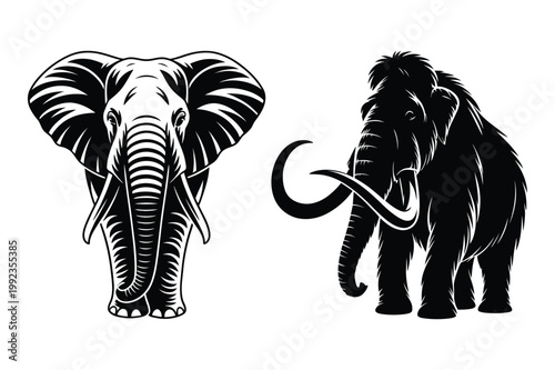 Illustrations of an elephant and a mammoth with elephant prehistoric wildlife