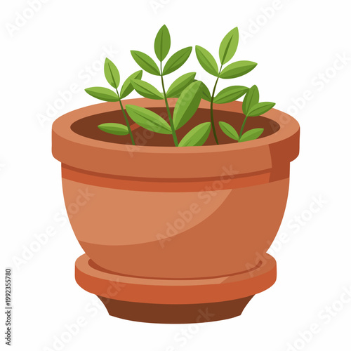 Potted plant illustration in terracotta pot with green leaves