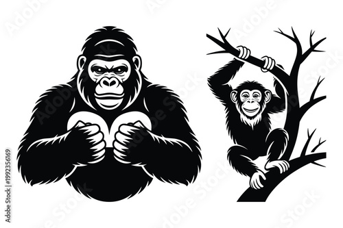 Gorilla and chimpanzee vector illustrations with chimpanzee wildlife climbing