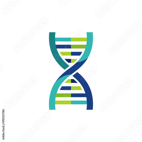 DNA Double Helix Structure Model.