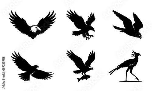Eagle silhouette vector set, majestic flying hawk and falcon icons, 6 predatory bird illustrations, black raptor symbols for logo design