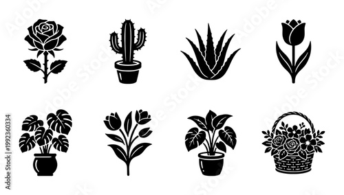 Minimalist flower icons and botanical plant silhouettes, set of 8 black vector symbols, floral rose and cactus illustrations for branding and web design