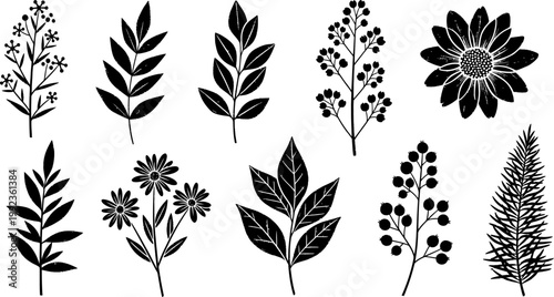 Collection of black botanical silhouettes featuring leaves flowers and branches isolated on white background