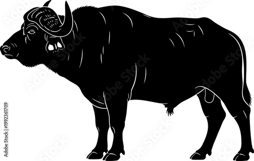 Black silhouette of African buffalo standing in profile isolated on white background for wildlife graphic design projects