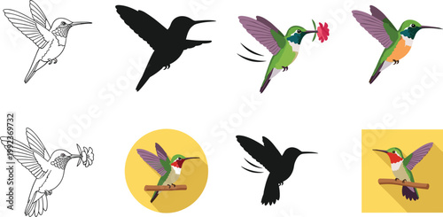 Hummingbird Icon Set Featuring Different Poses, Flight Styles, and Floral Interactions for Wildlife and Nature Graphic Designs