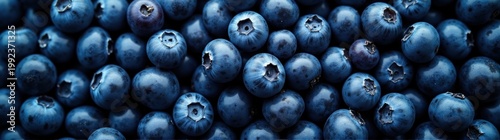 Pile of blueberries  food background banner