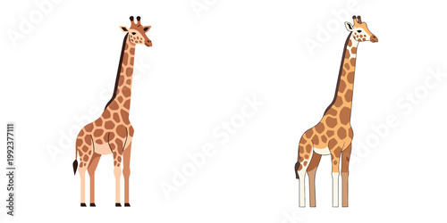 Two cartoon giraffes with brown spots on their fur against a white background, one slightly taller than the other, representing playful animal characters