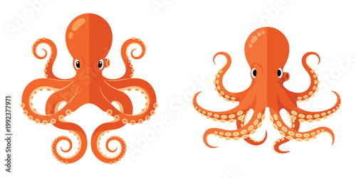 Two stylized cartoon-like orange octopuses facing each other with their tentacles gracefully curved