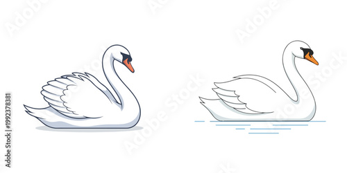 Elegant white swan illustration with intricate feather details, one on land and another gracefully floating on water