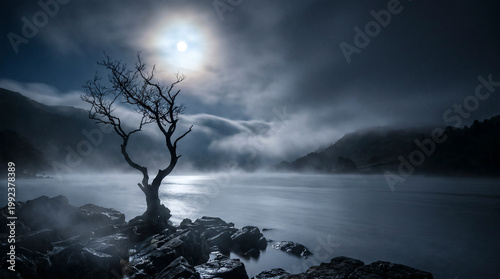 A lonely bare tree stands on a rocky shore by a misty lake under a bright full moon. Moody atmospheric night landscape with low clouds over the calm water and dark mountains.