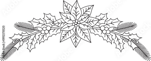 Poinsettia flower line art illustration with holly leaves and pine needles for christmas coloring.