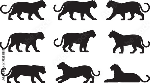 Set of black cougar silhouettes in various poses on a transparent background.