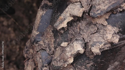 Close-up of muddy tire tread showing detailed texture and dirt accumulation in a natural outdoor environment during a rainy season