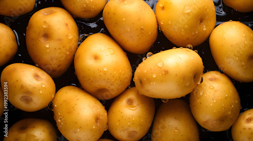 Top view of fresh yellow potatoes with water drops. Flat lay of wet washed raw root vegetables on dark background. Organic agricultural produce