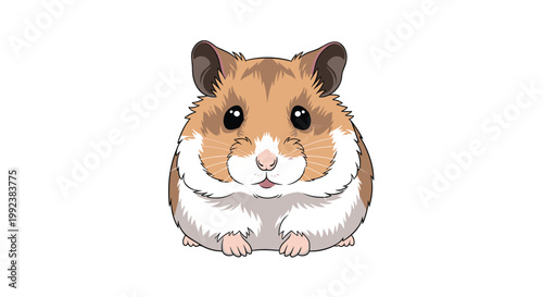 A charming and fluffy brown and white hamster sits attentively facing forward with large dark eyes and delicate pink paws against a plain white background.
