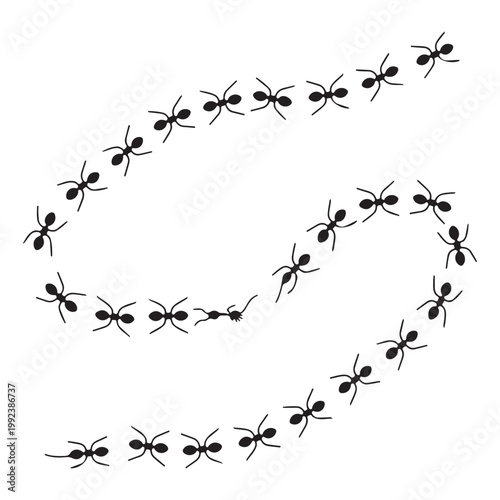 Curved Line of Ants Vector Illustration, Minimal Black Ant Trail Path Design