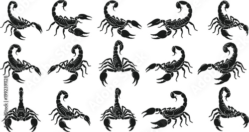 Scorpion silhouettes collection with different poses, dangerous desert insect shapes, black arachnid icons isolated, wildlife illustration set for design and decoration use