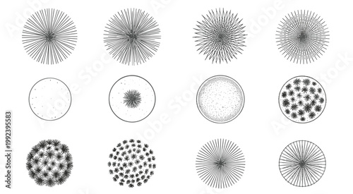 Twelve circular black and white representations of stylized trees viewed from above overhead view aerial view