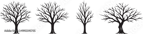 Four bare trees Vector, illustration