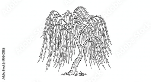 hand drawn vector illustration of an eagle