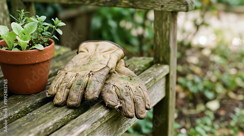 Worn leather gardening glove resting on a wooden bench next to a potted herb plant. Outdoor home garden maintenance and hobby concept. Soil cultivation and nature work activity.