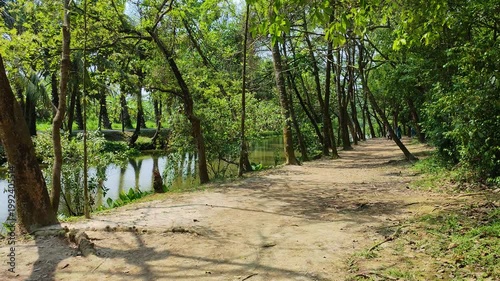 Long road passing through forest trees in Bangladesh with sunlight filtering creating beautiful natural landscape and peaceful travel scenery