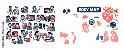 Doctors and nurses illustrating human anatomy with colorful diagrams and models