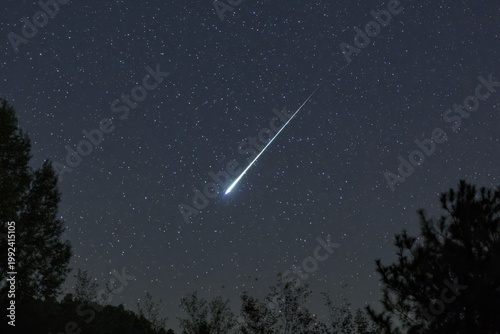 A meteor moves quickly through the dark sky filled with stars on a clear night in a quiet location surrounded by trees