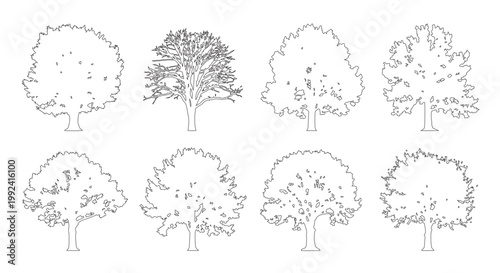 Vector set of deciduous and ornamental trees in elevation view for use in architectural drawings
