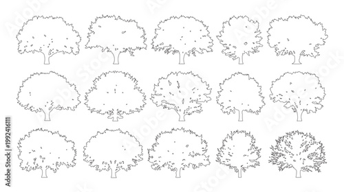 Vector set of ornamental trees in elevation view for use in architectural drawings