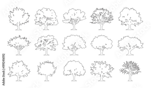 Vector set of deciduous and ornamental trees in elevation view for use in architectural drawings