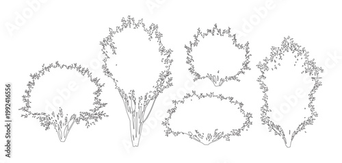 Vector set of shrubs and bushes in elevation view for use in architectural drawings