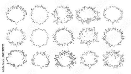 Vector set of ornamental shrubs and bushes in elevation view for use in architectural drawings