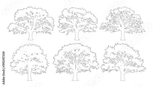 Vector set of deciduous trees in elevation view for use in architectural drawings