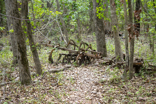 Vászonkép Abandoned farm implements in the woods