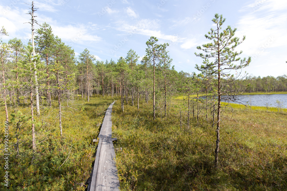Obraz premium A park in lake region