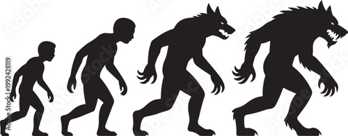 Silhouette evolution from man to werewolf with sharp teeth and claws human desi. black icon drawing vector