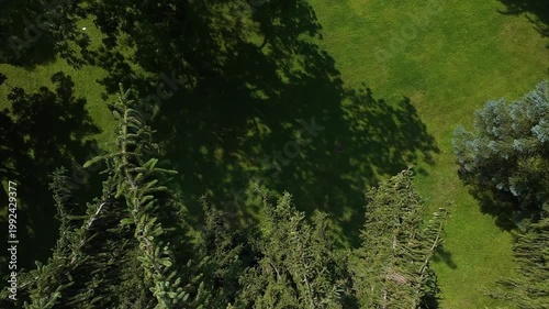 Drone flight descending above park landscape with trees and sunlight.