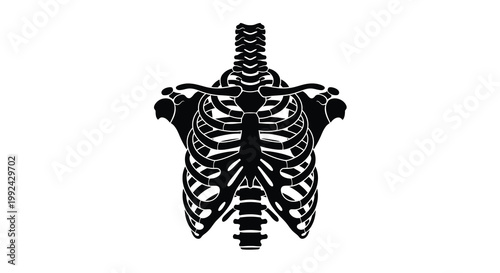 A black silhouette of a human ribcage and sternum isolated on white