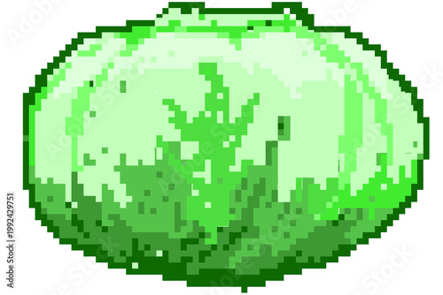 Cabbage pixel