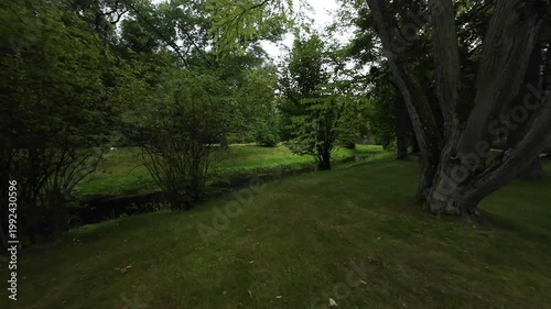 Aerial view of park stream flowing under bridge surrounded by trees.