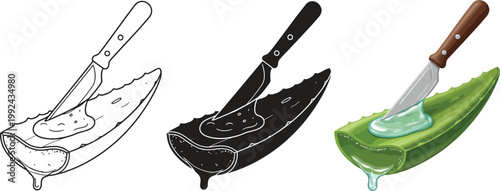 Aloe vera leaf slice with knife extracting gel illustration set showing outline silhouette and color versions for health and beauty concepts