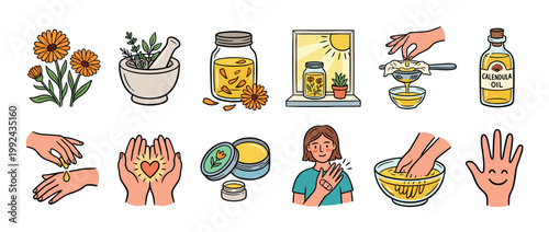 Set of hand-drawn calendula illustrations showing the process of making homemade herbal oil and healing salve for natural skincare and first aid in a colorful doodle style
